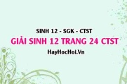 Giải Sinh 12 trang 24 Chân trời sáng tạo SGK